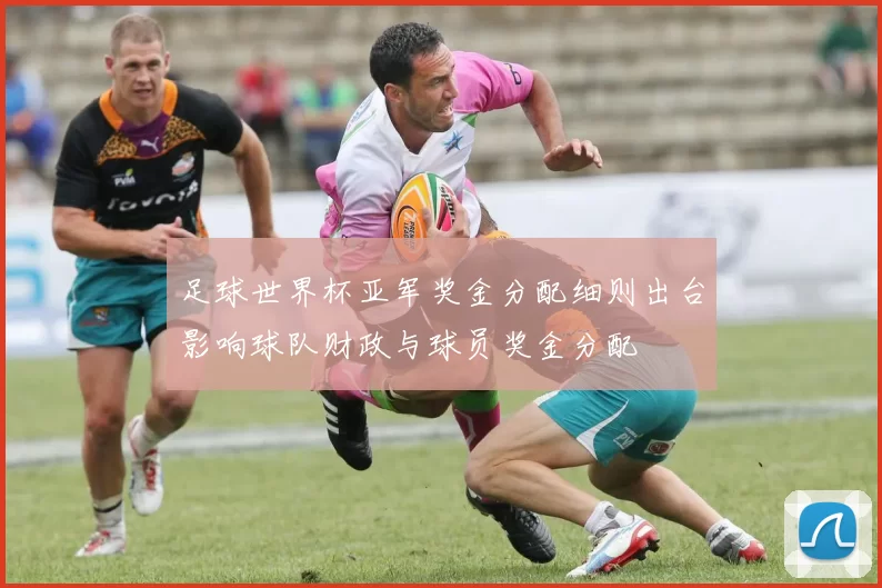 足球世界杯亚军奖金分配细则出台影响球队财政与球员奖金分配