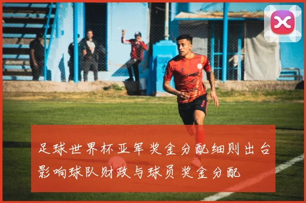 足球世界杯亚军奖金分配细则出台影响球队财政与球员奖金分配
